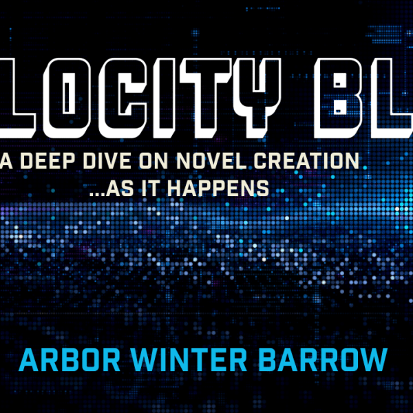 Velocity Blog